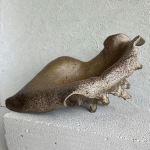 Handgefertigte Obstschale aus Keramik, Muschelform, Korallengefäß, skulpturales Herzstück, dekoratives Küstenobjekt, erdige Inneneinrichtung, abstrakte Muschel