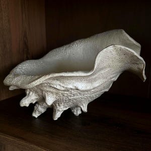 Handgjord keramisk skalfruktskål korallkärl skulpturalt mittpunkt dekorativt kustföremål beige inredning abstrakt snäckskal