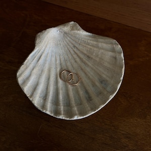 Handmade Ceramic Seashell Dish Coastal Jewelry Trinket Tray Ocean Inspired Rings Dish Beach Wedding Decoration