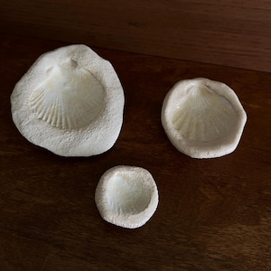 Peut inclure: Trois coupelles circulaires blanc cassé à la texture granuleuse, présentant une empreinte en forme de coquillage au centre. Chaque pièce possède un bord extérieur mat et rugueux ainsi qu'un bassin intérieur lisse et brillant.