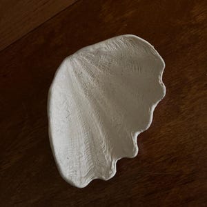 Könnte beinhalten: Eine weiße, mattierte Dekoschale in Form einer Jakobsmuschel. Das Objekt weist eine texturierte, gerippte Oberfläche auf, die die natürlichen radialen Rillen und den gewellten Rand einer Muschel nachahmt und eine konkave Mitte bietet.