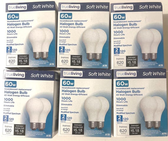 Classic 60-Watt Edison Light Bulbs