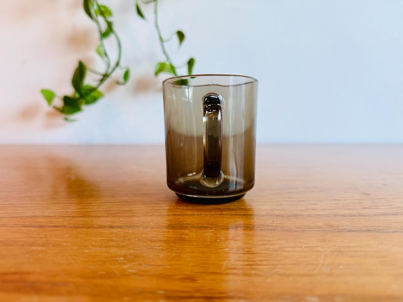 May include: A clear, brown-tinted glass mug with a handle. The mug sits on a wooden surface, with a green plant in the background. The mug is empty and appears to be made of durable glass.