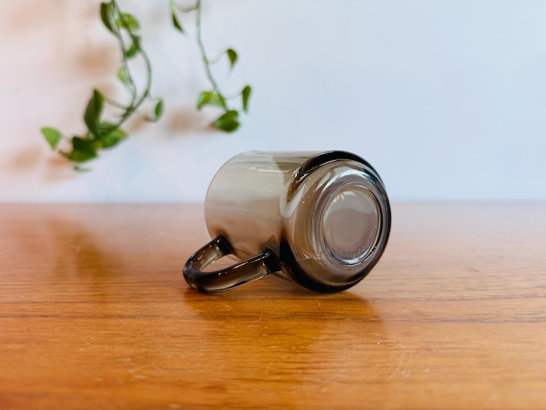 May include: A clear, gray-tinted glass mug with a rounded body and a small handle. The mug is lying on its side on a wooden surface. Green leafy vines are visible in the background.