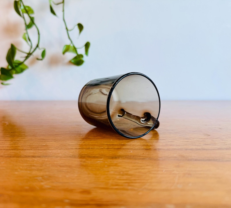 May include: A clear, cylindrical glass with a dark brown tint, lying on its side. The glass has a small handle and a black rim. The background features a wooden surface and a trailing green plant.