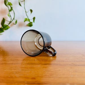 May include: A clear, gray-tinted glass mug with a handle, resting on a wooden surface. The mug is empty and angled, showcasing its interior. Green leafy vines are visible in the background, adding a touch of nature.