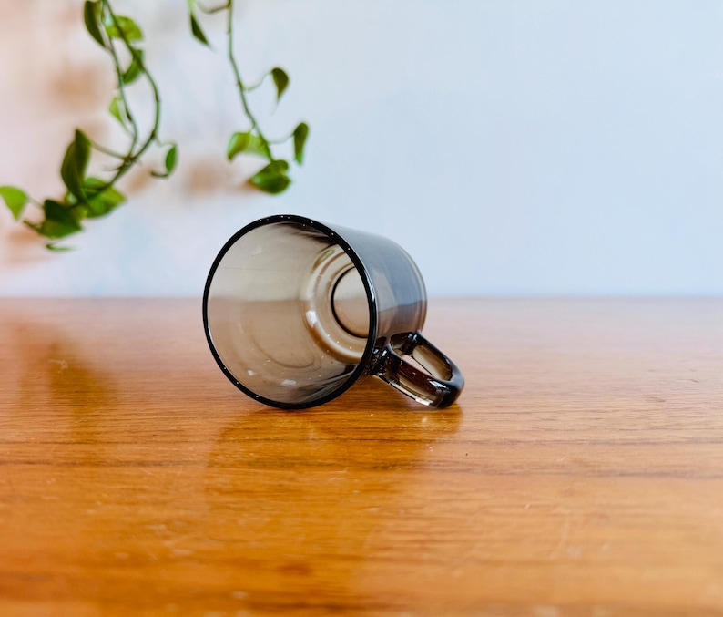 May include: A clear, gray-tinted glass mug with a handle, resting on a wooden surface. The mug is empty and angled, showcasing its interior. Green leafy vines are visible in the background, adding a touch of nature.