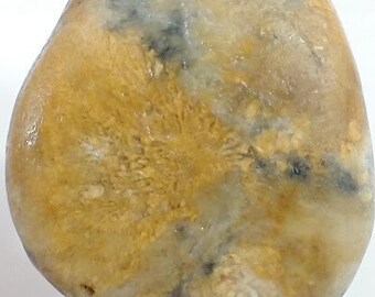 Oregon Coast Agate, Beach Agate Stone, Plumes, Unpolished, Raw Beach Rock