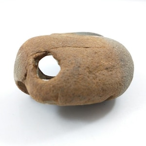 Oregon Coast Hagstone, Ethically and Mindfully Gathered, Purified by the Sea