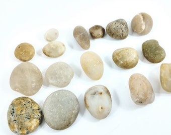 Oregon Coast Agate Collection, Tiny Agates, Beach Agates, Surf Tumbled Unpolished Raw Agates