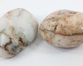 Oregon Coast Steinkern Agate Fossils, Bivalves, Beautiful Colors And Unpolished, Raw, Surf Tumbled & Etched By The Sand.