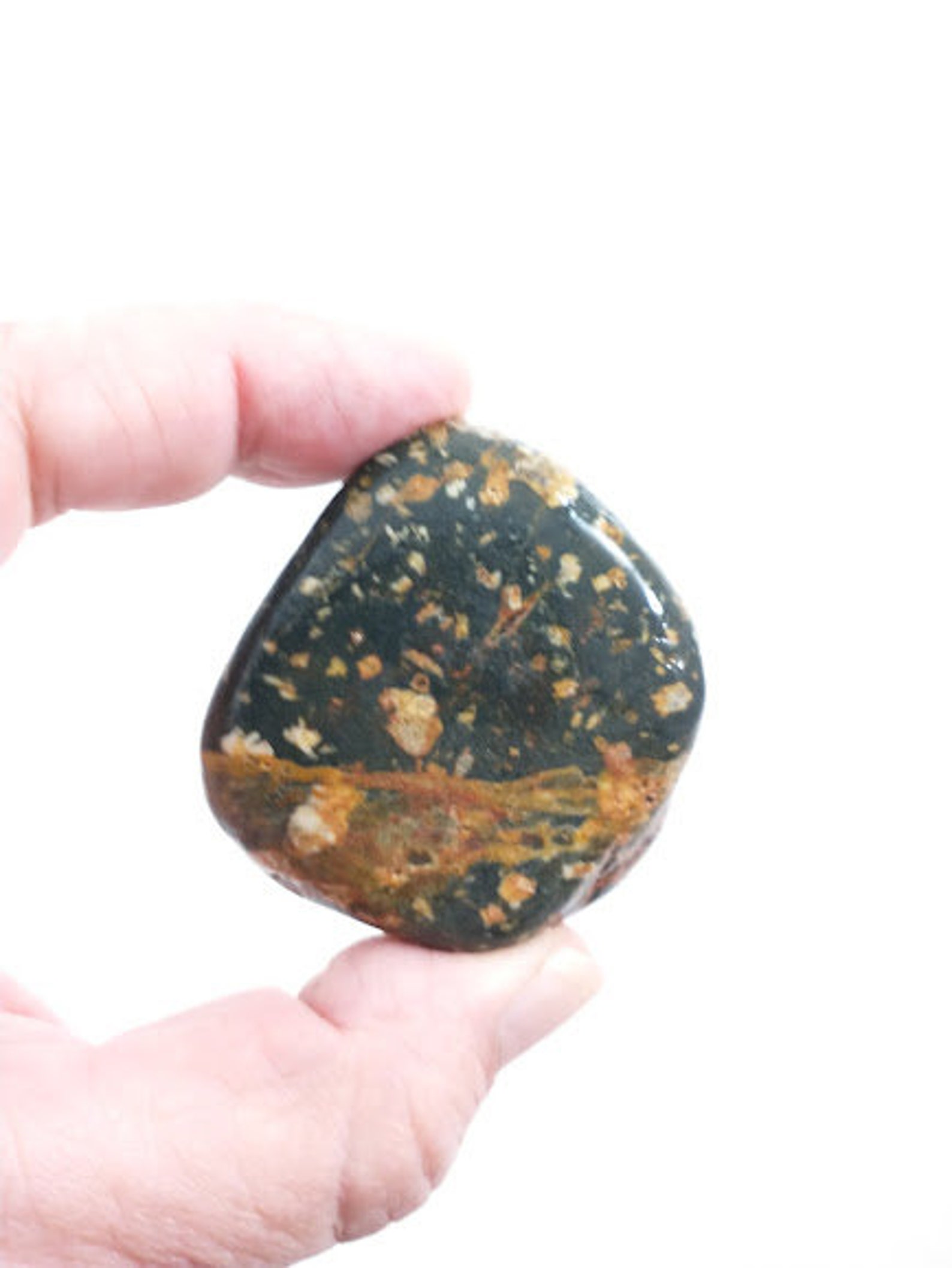 Jasper Palm Stone Oregon Natural Jasper Unpolished Surf | Etsy