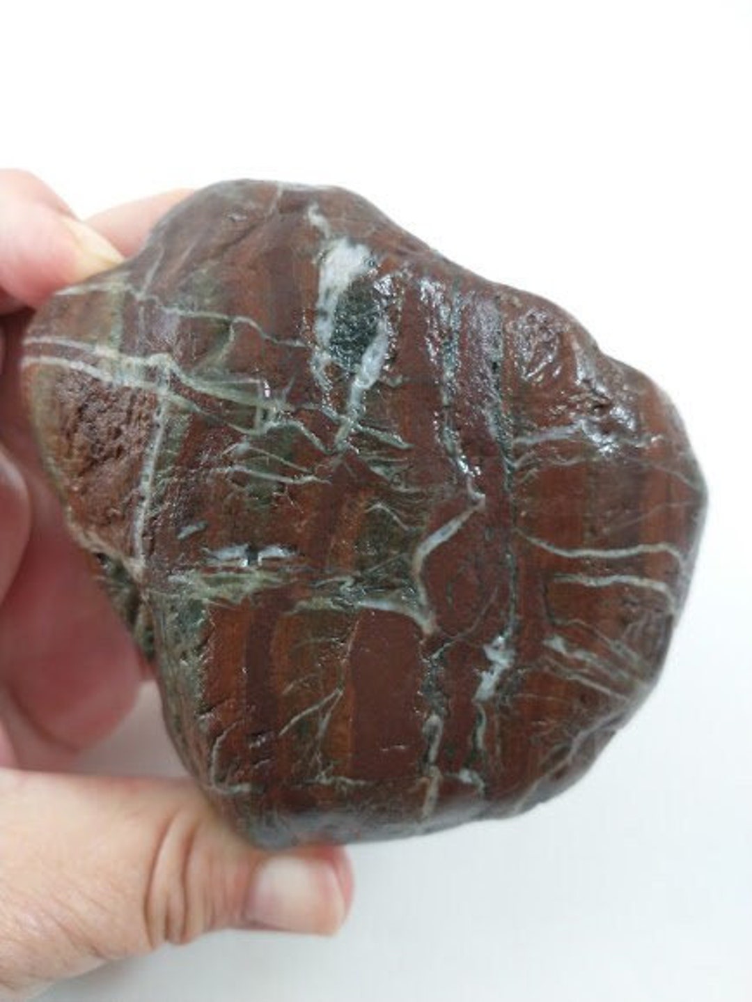 Oregon Coast Banded Rhyolite Beach Rock - Etsy