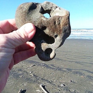 May include: A weathered, gray rock with natural holes is held up against a backdrop of a sandy beach and ocean. The rock's surface is textured, and the holes create interesting shapes. The sky is a clear blue.