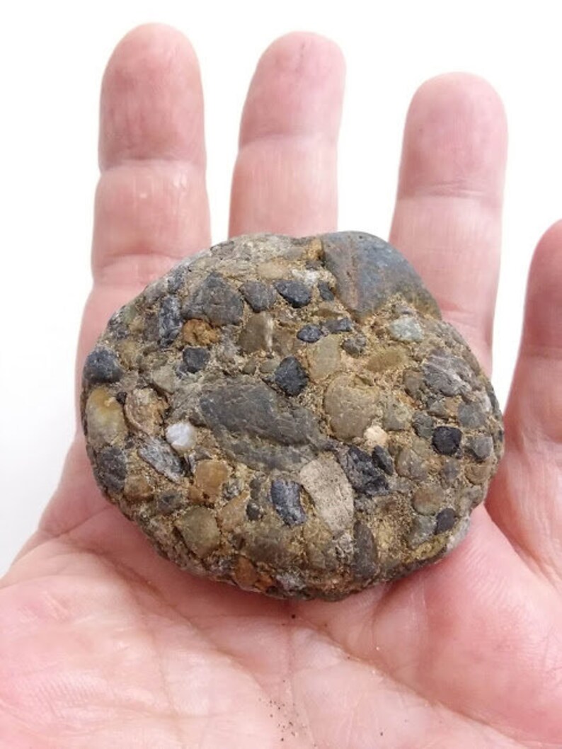 10 Unpolished Rock Specimens Conglomerate Sedimentary Rock 10 Unpolished Rock Specimens Conglomerate Sedimentary Rock