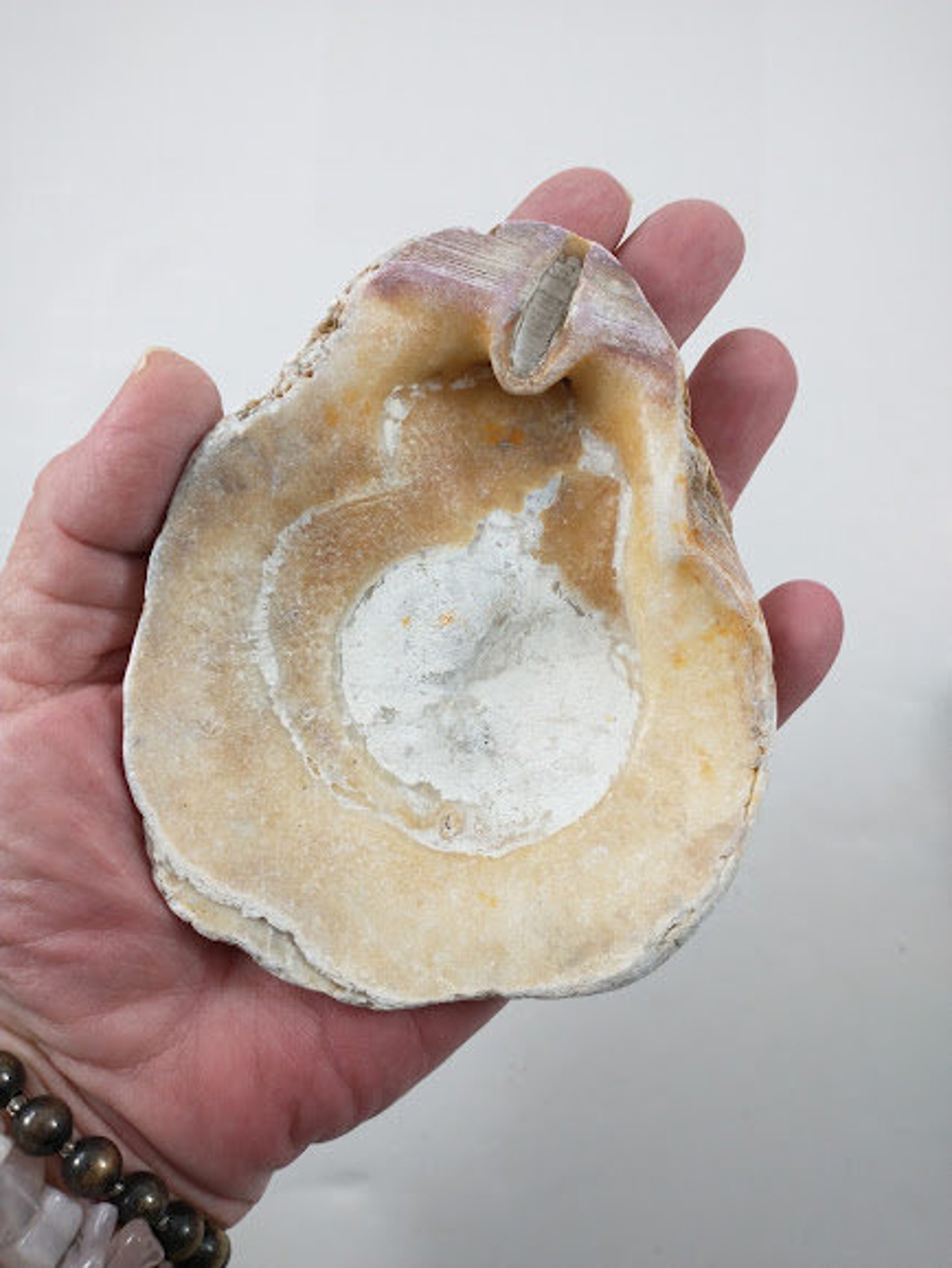 Oregon Coast Rock Scallop Shell Offering Bowl Altar Bowl Etsy