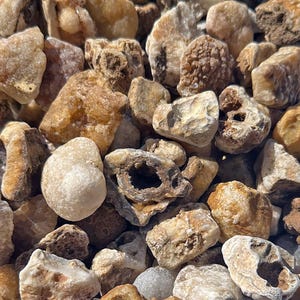 Puede incluir: Primer plano de una colección de rocas de varios tamaños y formas. Las rocas presentan tonos beige, marrón y crema. Algunas rocas tienen cavidades, mientras que otras son lisas y redondeadas. La imagen muestra una variedad de texturas.