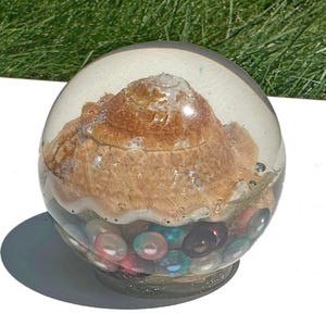 Resin Sphere with Large Real Seashell Colorful Bubbles and Small Seashells Ocean Decor Coastal Theme Globe Gift for Office Decoration Shell