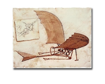 Leonardo da Vinci’s FLYING MACHINES Leonardo da Vinci's flying machine — Science Learning Hub