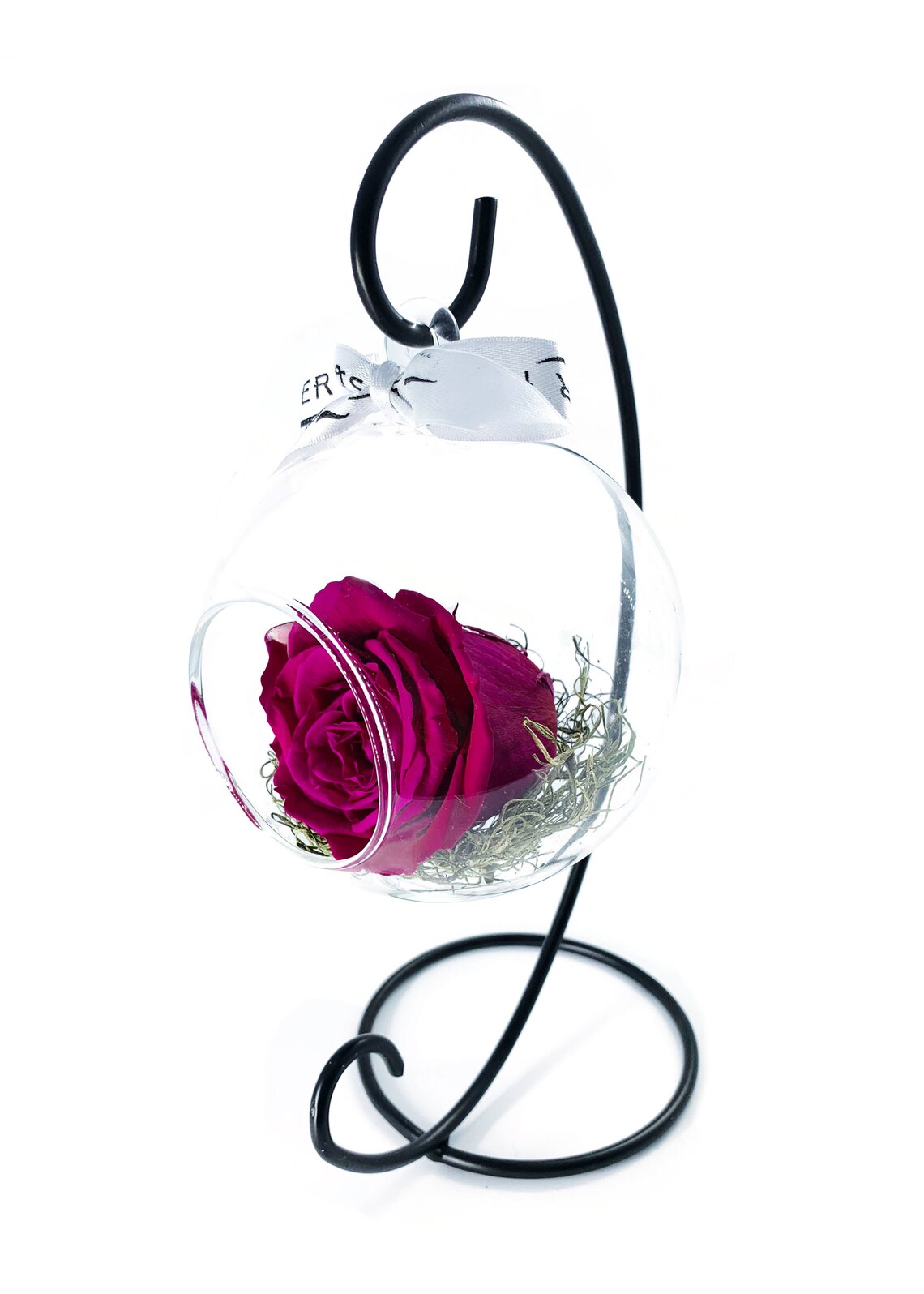 Preserved Rose Swinging Glass Globe Etsy