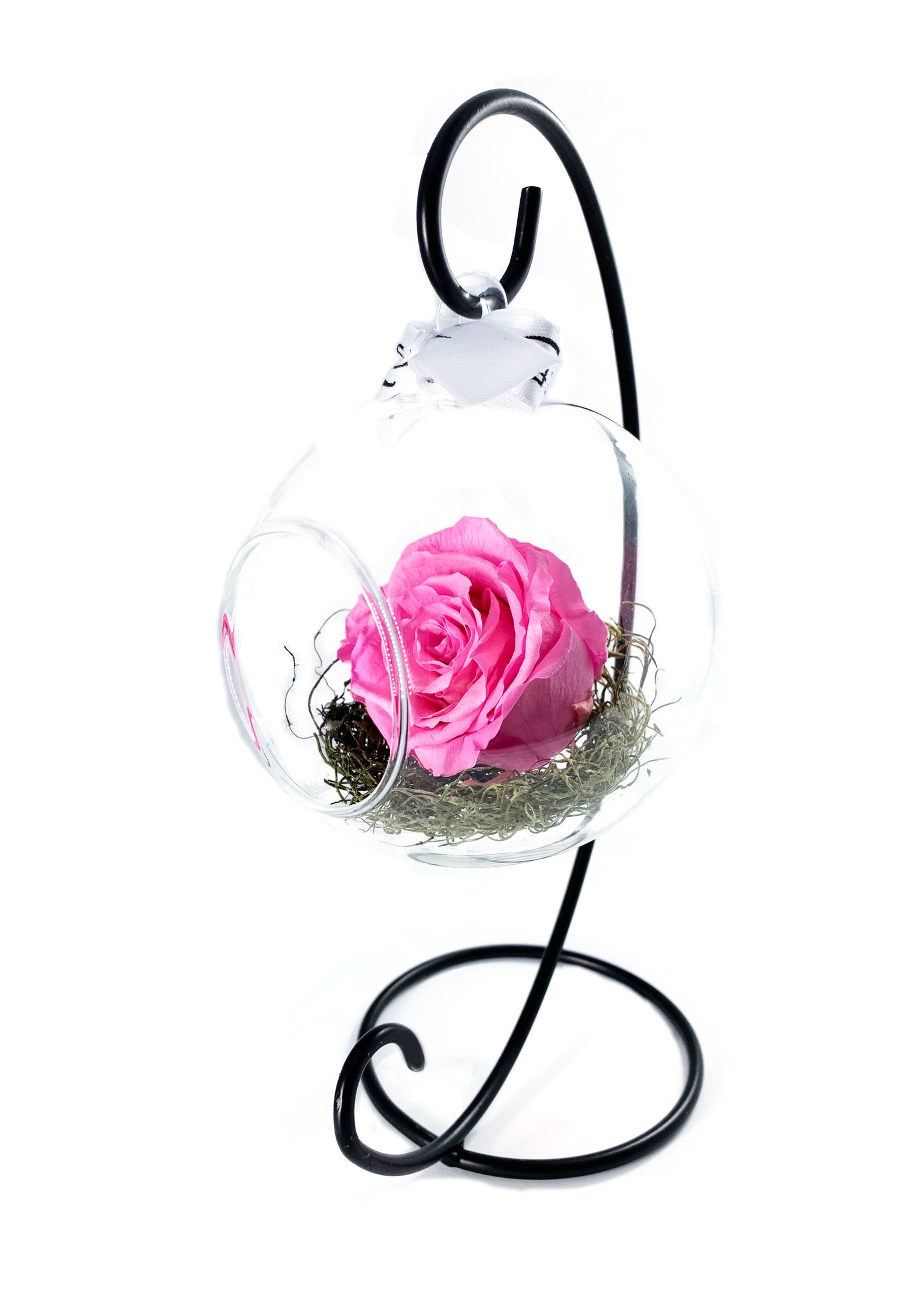 Preserved Rose Swinging Glass Globe Etsy