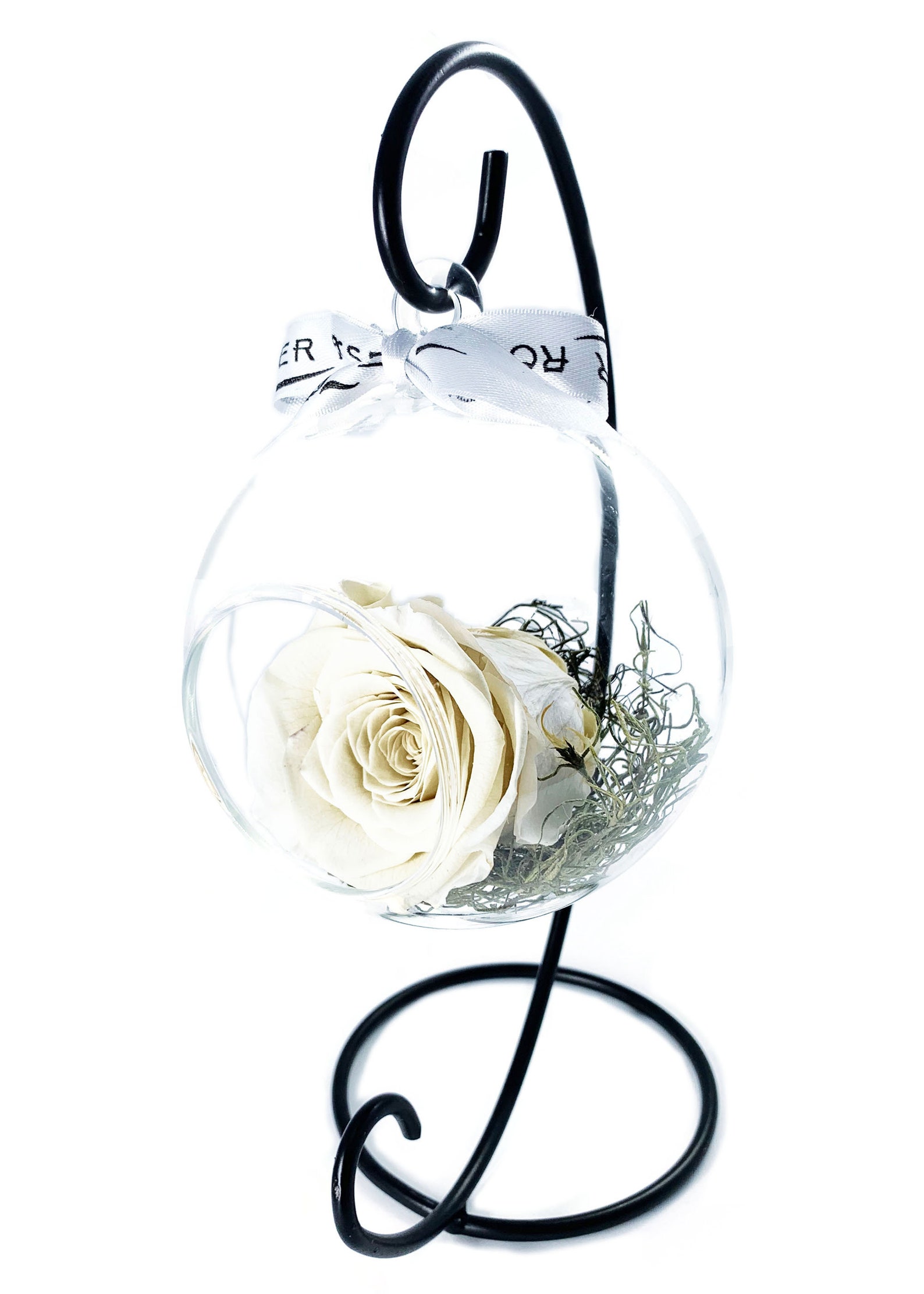 Preserved Rose Swinging Glass Globe Etsy