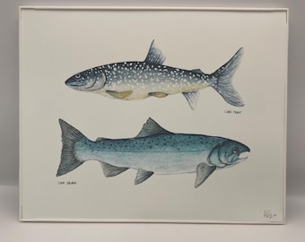 Original Fresh Catch Fish Print: Lake Trout, CoHo Salmon 8x10''