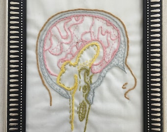 Embroidery illustration, Brain anatomical 7”x 5”.