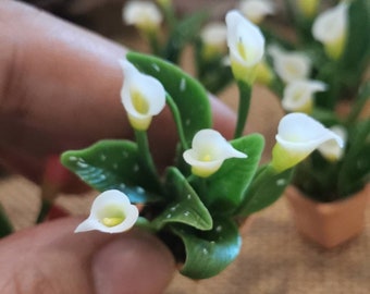 Miniature Calla Lily, White Mini Flower Pots, Miniature Flower For Dollhouse, Clay Flower Pots