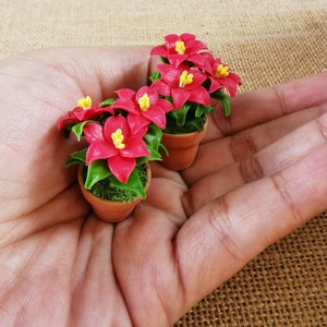 以下が含まれることがあります： 赤いポインセチアの花と緑の葉を持つ、小さな鉢植えの植物が2つ。植物は、茶色と緑の苔の土台が付いたテラコッタ製の鉢に入っています。
