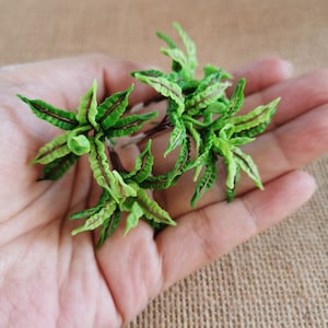 Miniature Clay Bird&#39;s Nest Fern: Dollhouse Green Plant Bouquet