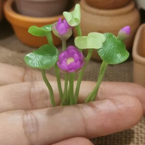 Może przedstawiać: Miniaturowa roślina lilii wodnej w kolorze fioletowym z zielonymi liśćmi. Roślina jest wykonana z polimerowej gliny i idealnie nadaje się do domków dla lalek lub miniaturowych ogrodów.