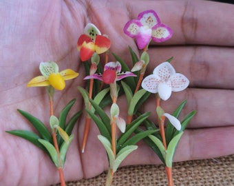 Hand Painted and Fired Terra Cotta PotFlower PotPainted PotGift for GardenerFlower loverGardening LoverFlowersHerb Garden