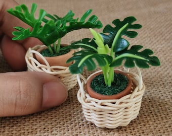 2 Miniatur-Puppenhaus-Grüne Tropische Pflanzen, Miniatur-Grün-Farbpflanzen, Puppenhaus-Pflanzenarrangements, handgefertigte Ton-Monstera-Pflanze