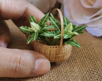Pode incluir: Uma pequena cesta de vime tecida com uma alça, cheia de plantas com folhas verdes e brancas. A cesta está sobre uma superfície de juta marrom.