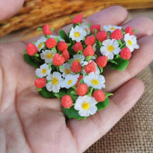 May include: A bouquet of small, white flowers with red strawberry-shaped accents. The flowers have yellow centers and are arranged in a hand.