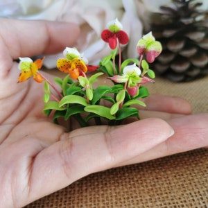 Handmade Miniature Clay Orchid: Dollhouse Flower Pot Gift (6 Bunches)