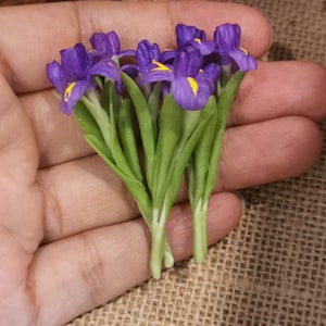 Puede incluir: Un grupo de pequeñas flores de iris moradas con detalles amarillos en los pétalos y tallos y hojas verdes. Las flores están dispuestas en un pequeño ramo, mostrando un delicado diseño floral.