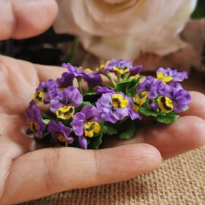 Puede incluir: Un grupo de pequeñas violetas moradas y amarillas con hojas verdes. Las violetas están dispuestas en un ramo y se sostienen en la mano de una persona.