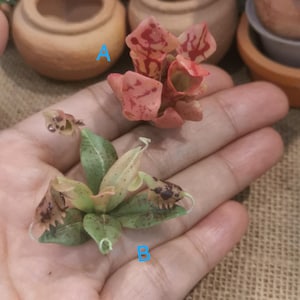 Op de afbeelding: Er worden twee kunstmatige vetplanten getoond. Eén is perzik van kleur met rode vlekken, de andere heeft groene bladeren met bruine vlekken. De vetplanten worden in een hand gehouden, met een vage achtergrond van terracotta potten.