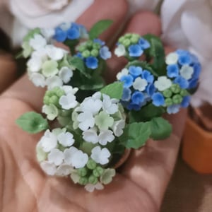 Pode incluir: Miniaturas de plantas de hortênsia de argila em tons de branco, verde claro e azul. As minúsculas flores são agrupadas com folhas verdes. As plantas estão em pequenos vasos marrons, seguras em uma mão.