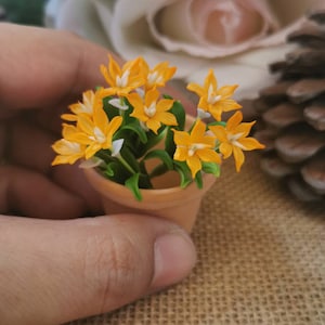 Pode incluir: Um pequeno vaso de terracota com um grupo de flores amarelas brilhantes. As flores têm centros brancos e estão dispostas em forma de buquê.