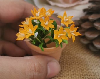 Pode incluir: Um pequeno vaso de terracota com um grupo de flores amarelas brilhantes. As flores têm centros brancos e estão dispostas em forma de buquê.