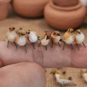 1/2/3 Ręcznie robiony domek dla lalek Pomarańczowy Brązowy Biały Wróbel Ptaki, Miniaturowe lalki Zwierzęta Rzemiosło, Miniaturowe lalki Ptaki