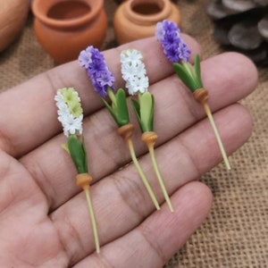 Puede incluir: Cuatro flores de jacinto en miniatura con tallos verdes y bases marrones. Las flores son blancas, moradas y moradas claras.