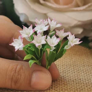 May include: A bouquet of small, white flowers with pink edges. The flowers are arranged in a cluster and have green leaves.