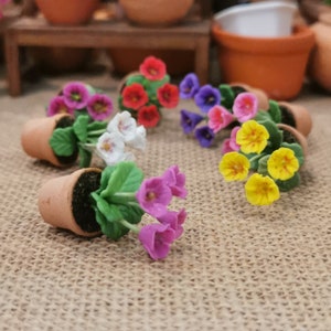 May include: Assortment of miniature potted plants with colorful flowers. The flowers are made of polymer clay and come in shades of purple, pink, yellow, white, and red. The pots are brown and have a rustic look.