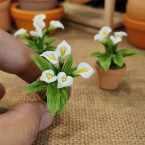 Miniature Dollhouse White Calla Lily: Handmade Clay Flower Pot