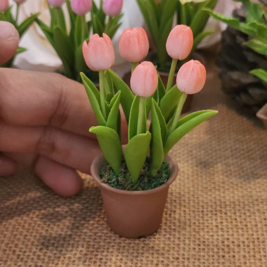 Mini Orange Pink Tulip Flower Pot, Mini Flower Pots,mini Peach Color