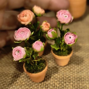 May include: Miniature potted flowers with pink and peach blooms. The small terracotta pots are filled with green moss. The flowers have multiple petals and green stems. The arrangement is a charming decorative item.